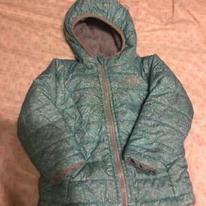 2t reversible north face mossbud